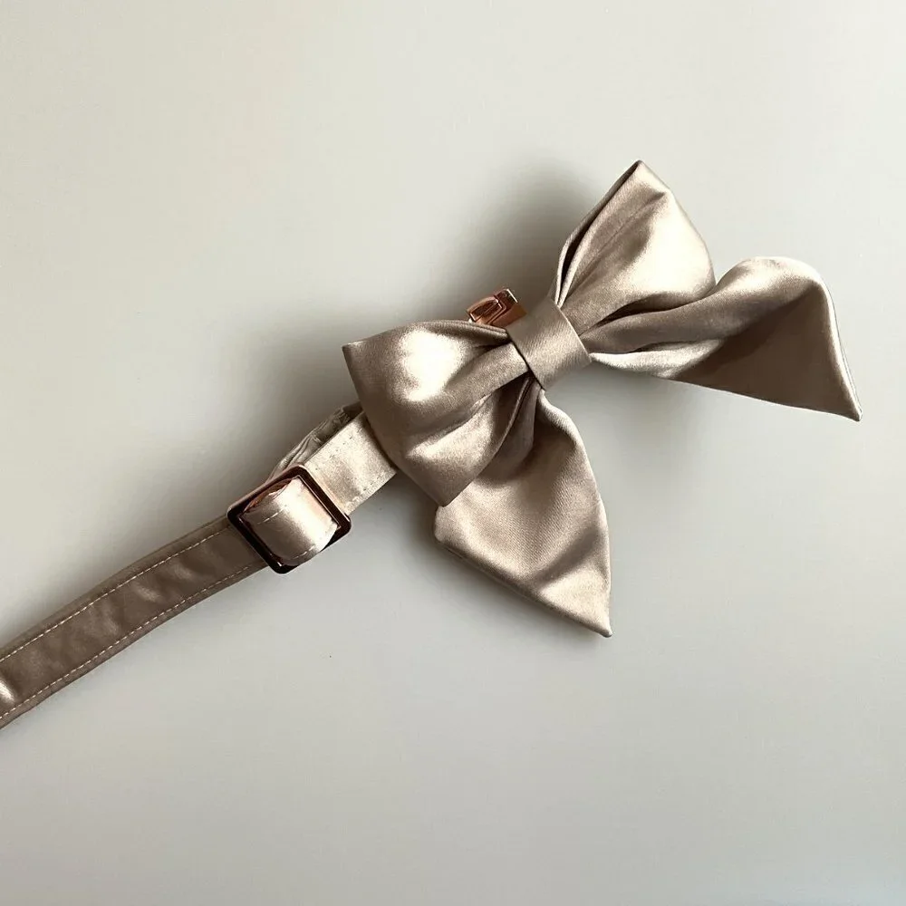NEW Champagne Silk Bow Dog Collar Unisex